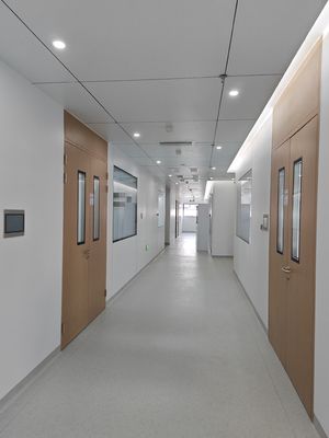 comprare Porta a dondolo in acciaio a grano di legno doppia stanza pulita Ospedale porte metalliche con visione in vetro online manufacture