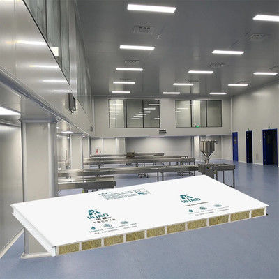 comprare Modulare Cleanroom Sandwich Wall Panel e Walkable Panel per Food Pharmaceutical Workshop Clean Room 50mm Rockwool online manufacture